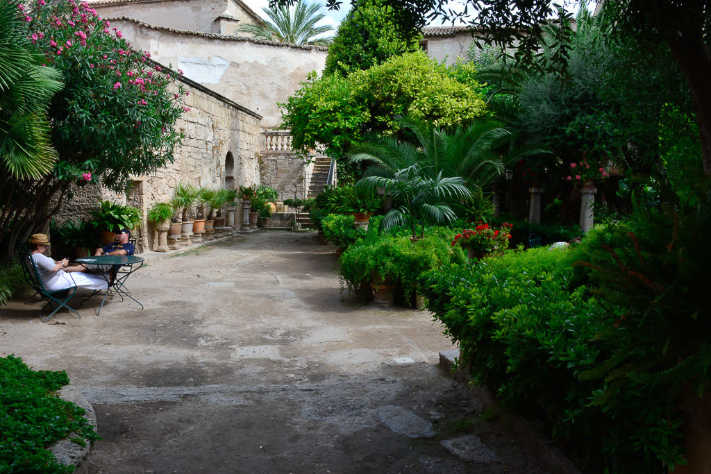 Garten mit Pflanzen und einer Bank