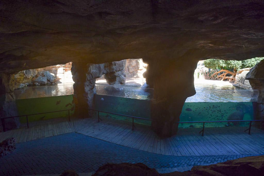 Unterwasserbereich mit Blick durch Fenster ins Gehege