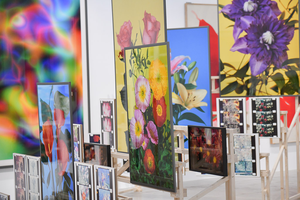 Bunte Blumenbilder an Ständern