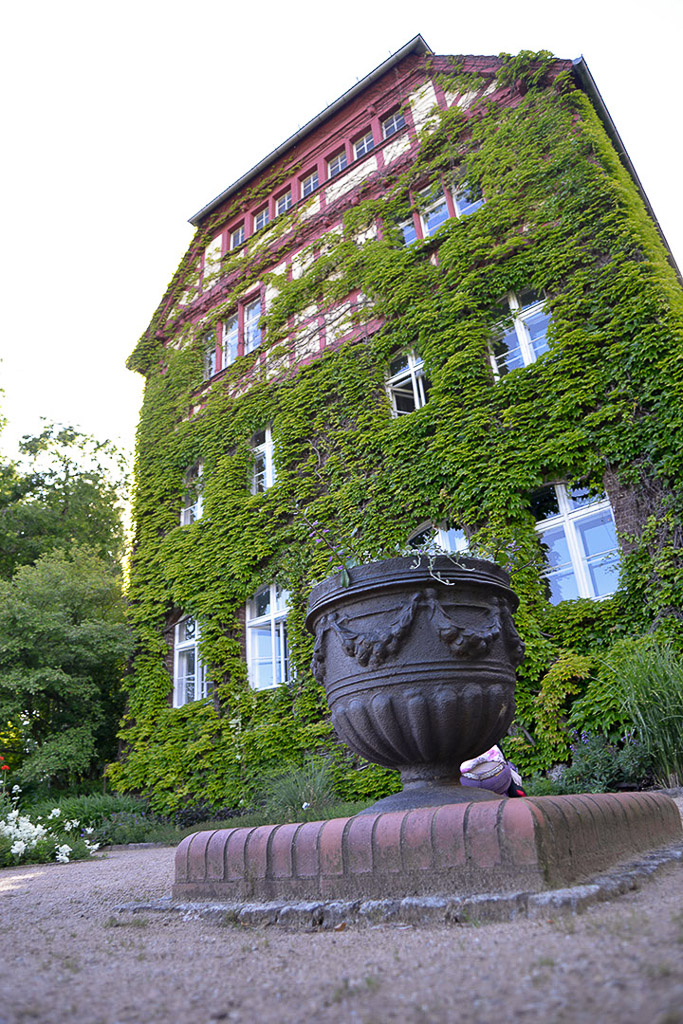 Efeubewachsenes Haus mit Vase im Hochformat