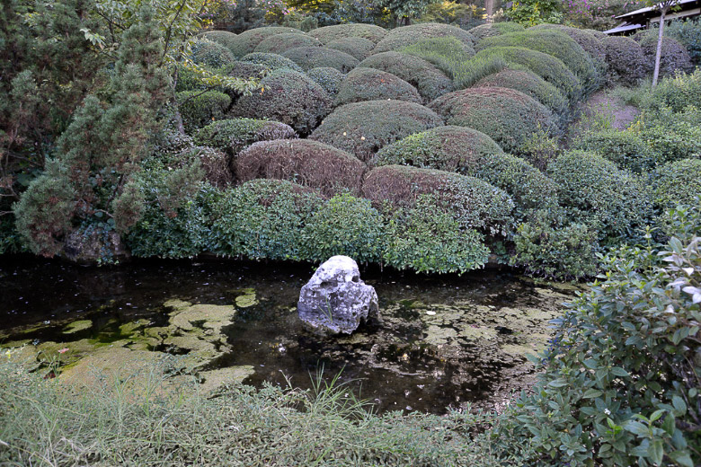 Teich mit Moospolstern im Japanischen Garten