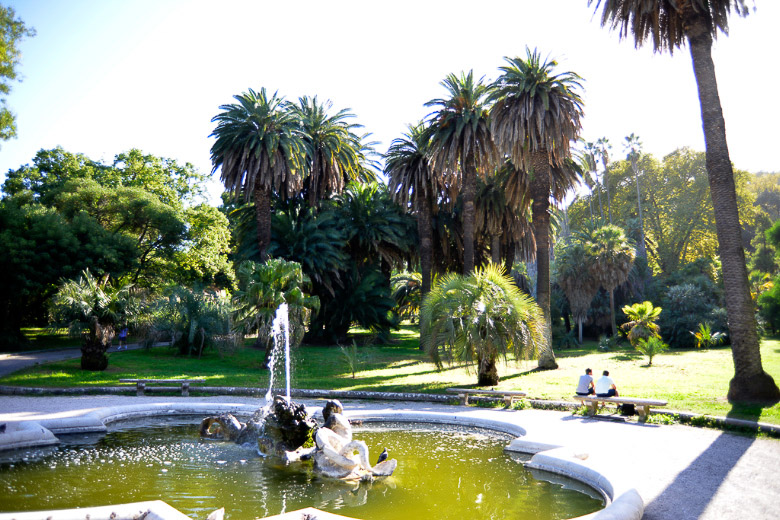 Brunnen mit Palmen im Garten