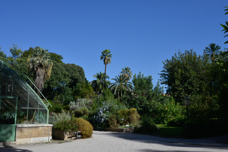 Gewächshaus zwischen Palmen und Wiese