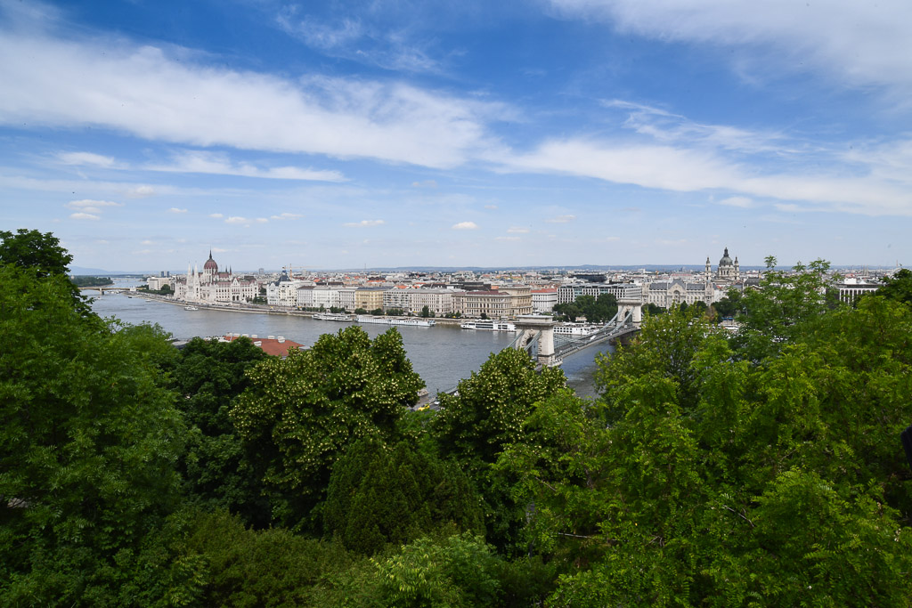 Blick vom Burgberg über Bäume zur Donau