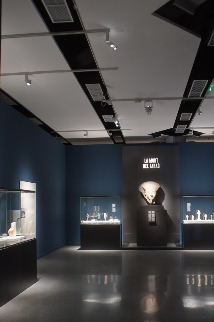 Dunkler Ausstellungsraum mit beleuchteter Vitrine im Hochformat