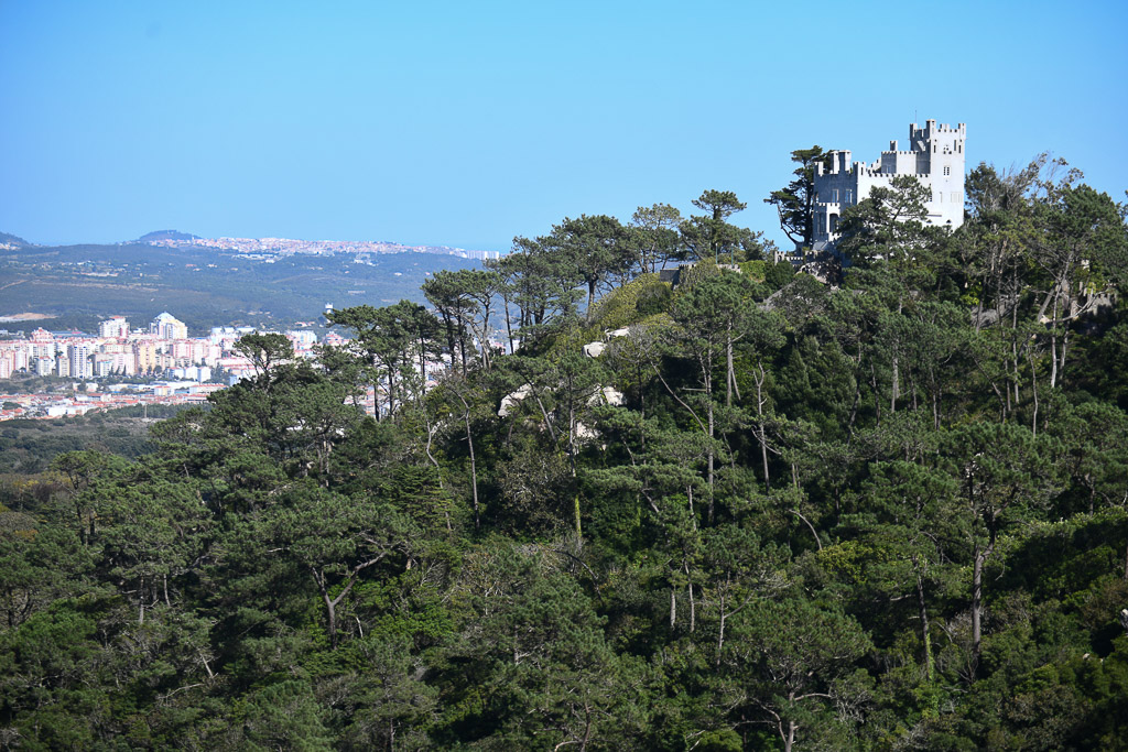 Blick auf Wald und Küste