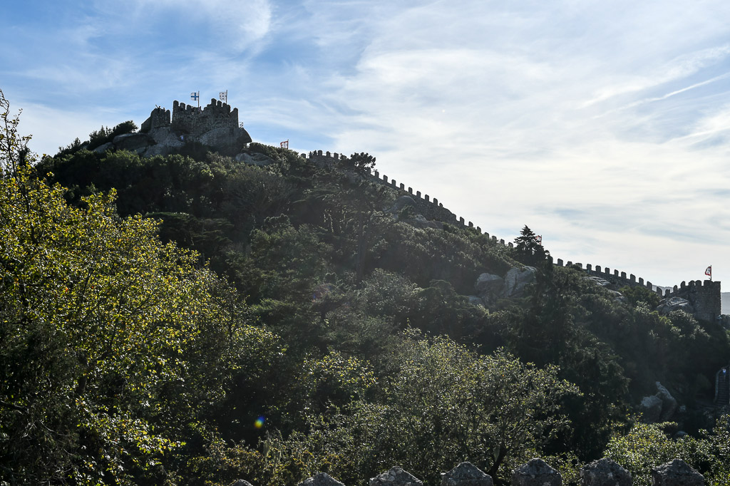 Wald und Bergrücken