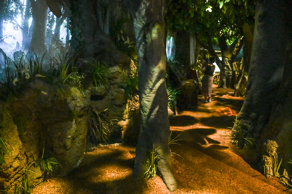 Waldweg in der Ausstellung