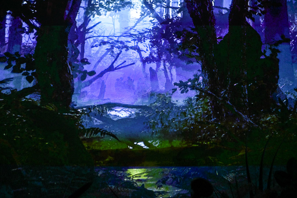 Wald bei Nacht mit Licht im Hintergrund