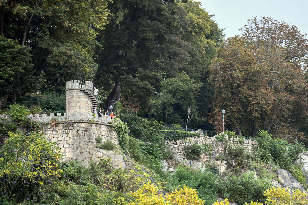 Bewachsene Uferböschung mit Mauerrest