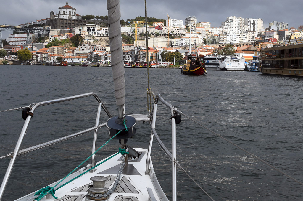 Blick vom Boot auf das Ufer von Porto