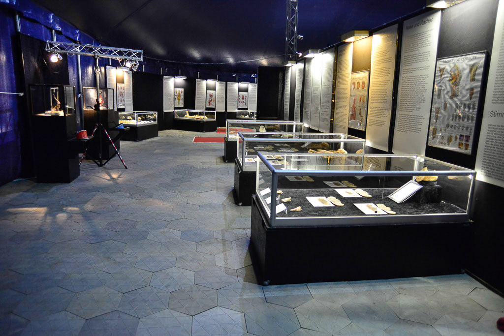 Ausstellungsraum mit Vitrinen