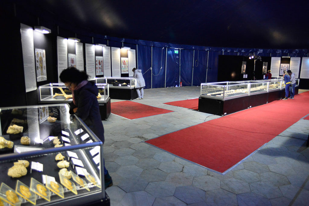 Ausstellungsraum mit Vitrinen