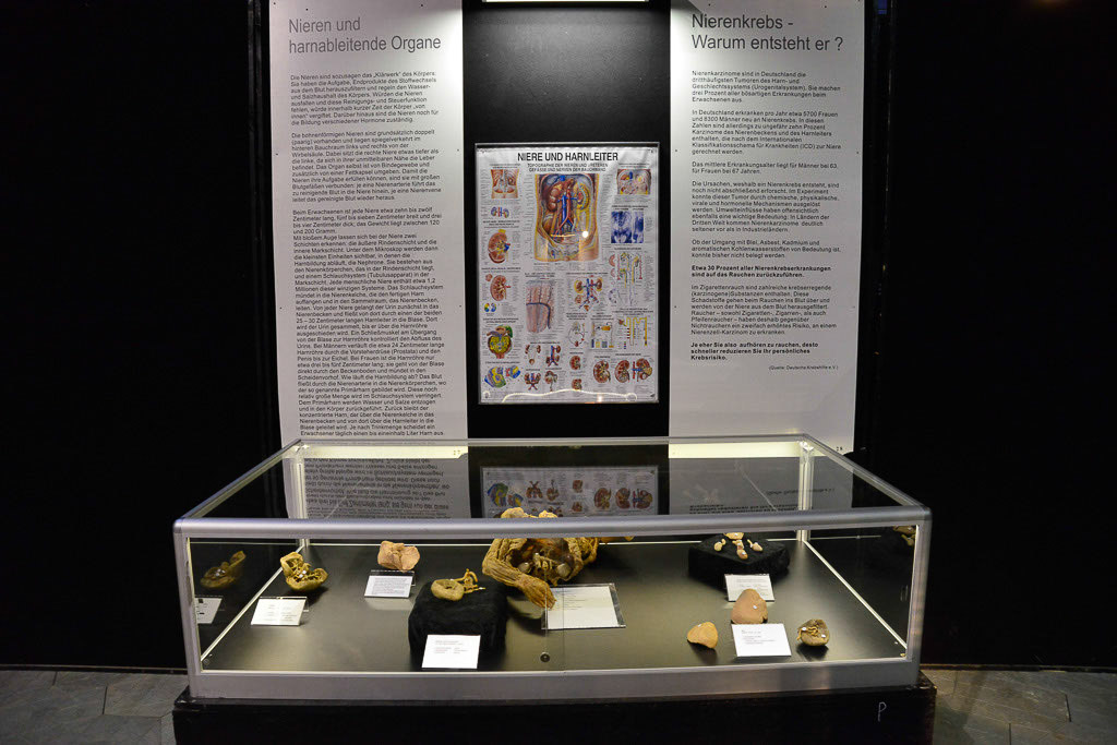 Vitrine mit Infotafel