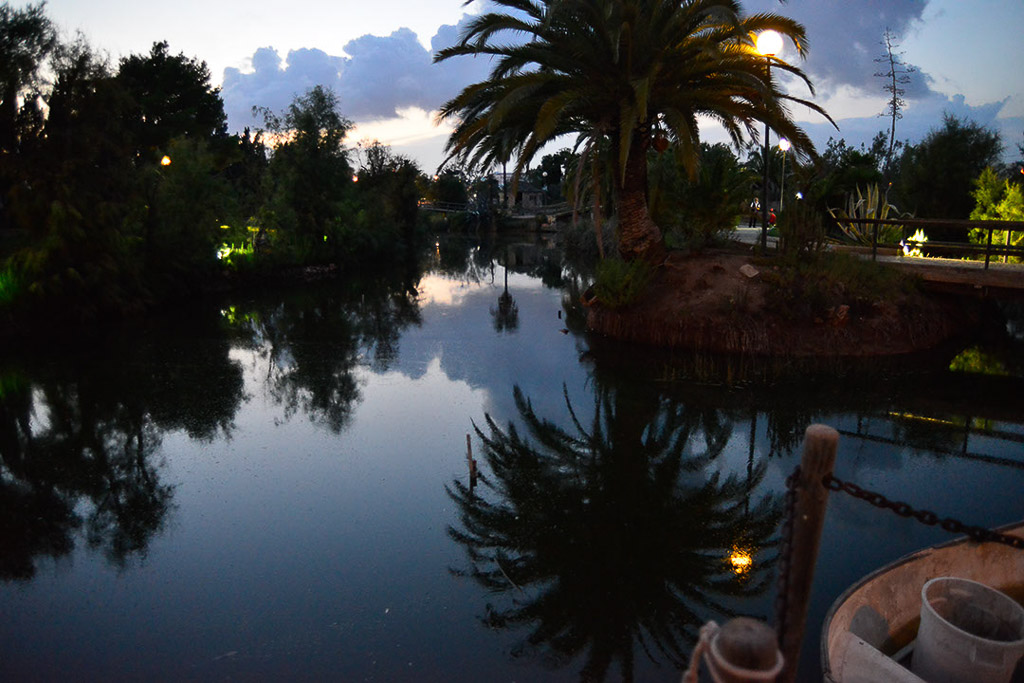 Teich mit Spiegelung und Palmen in der Dämmerung