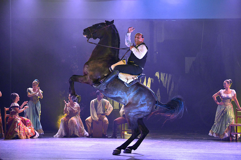 Pferd steigt auf der Bühne