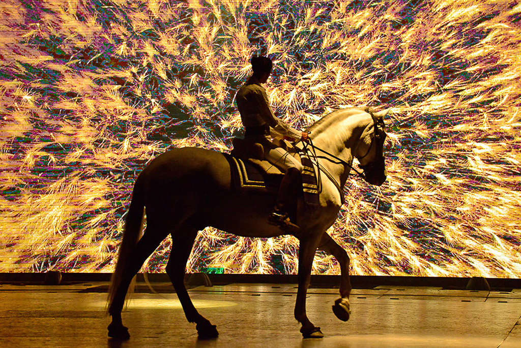 Reitersilhouette vor goldener Projektion