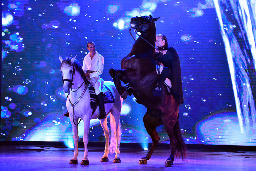 Pferd steigt auf der Bühne mit Reiter
