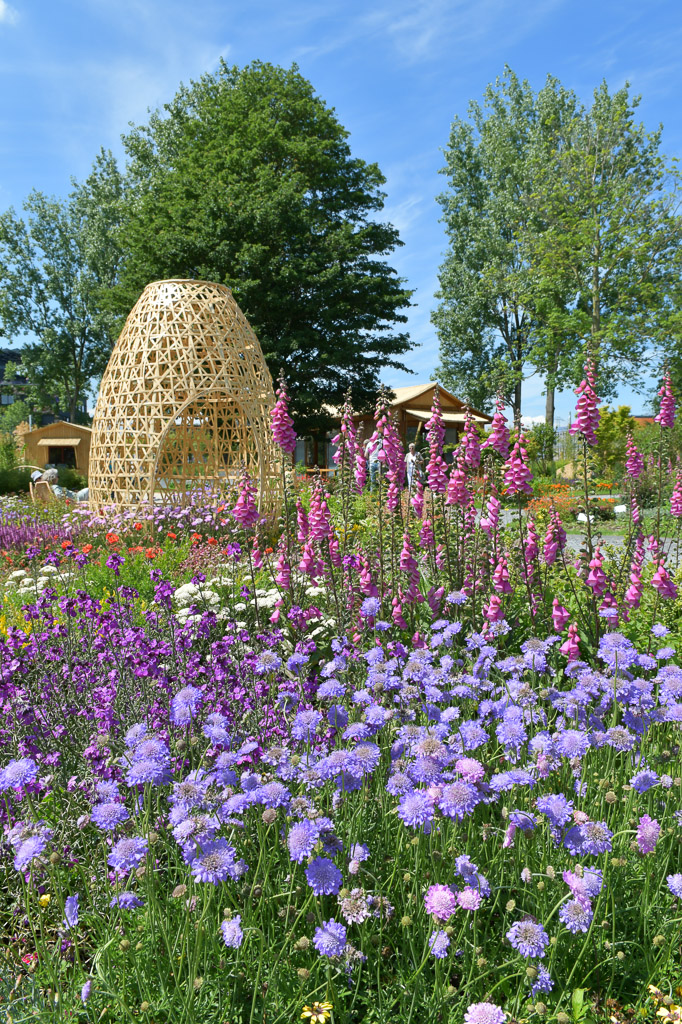 Blumenbeet mit lila Blüten und einer Skulptur im Floriade-Park