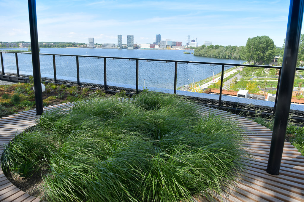 Dachgarten mit Blick auf das Wasser