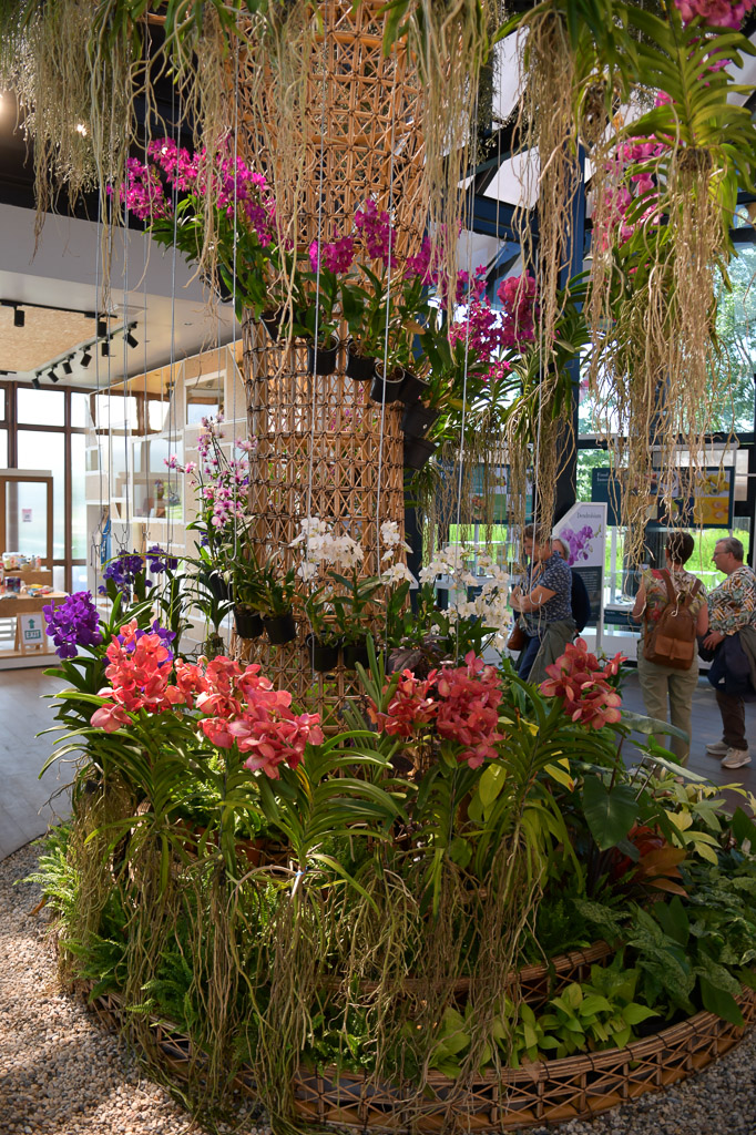 Orchideen und rosa Blüten im thailändischen Pavillon