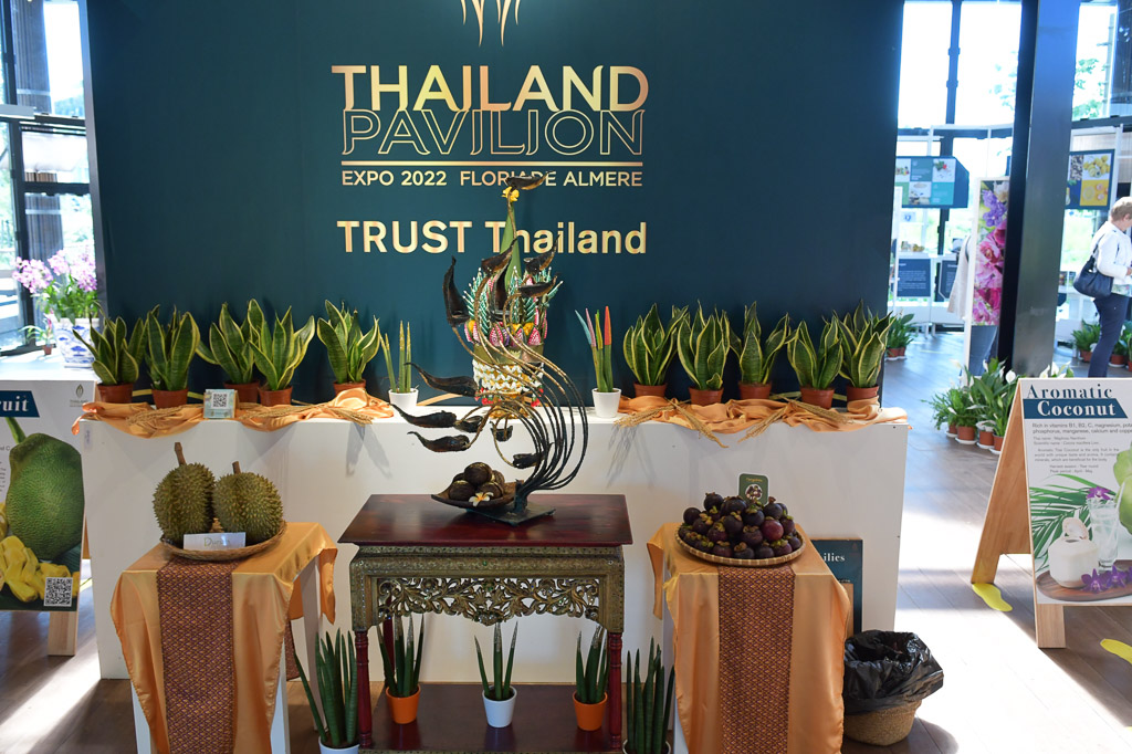 Ausstellungsraum im Pavillon von Thailand mit Pflanzen