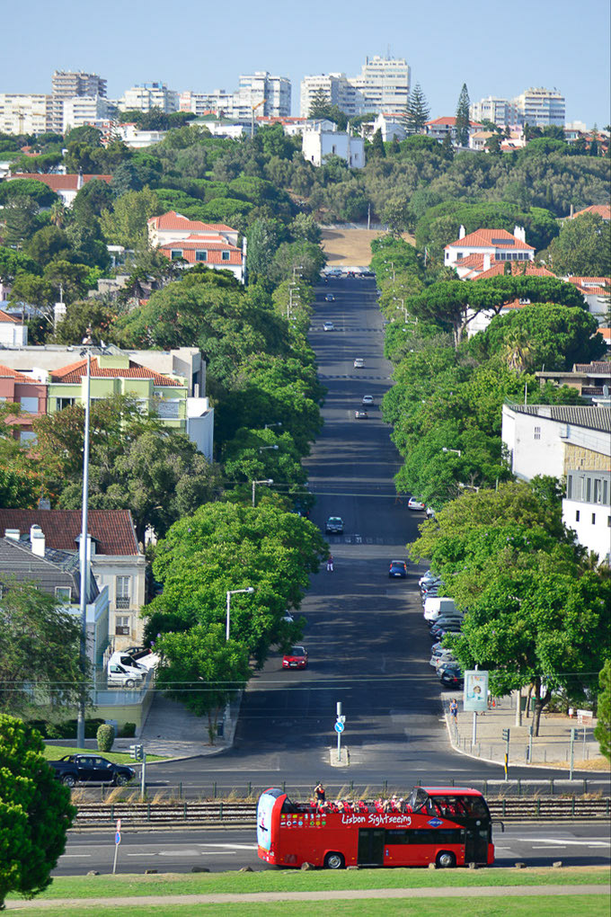 Straße mit Bäumen und rotem Bus