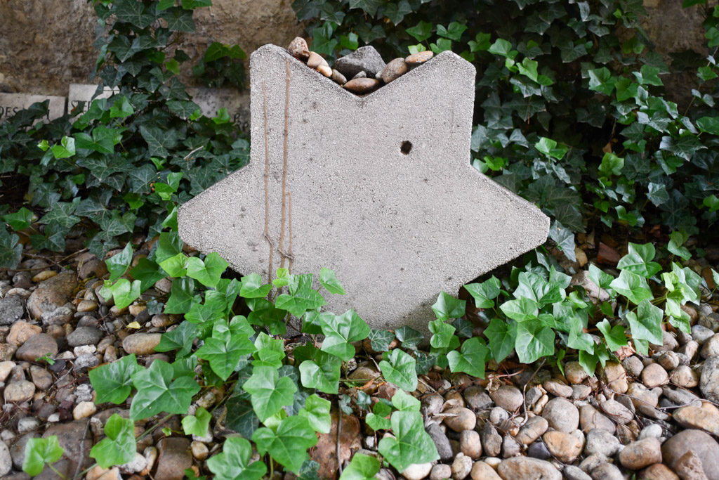 Sternförmiger Stein mit Efeu
