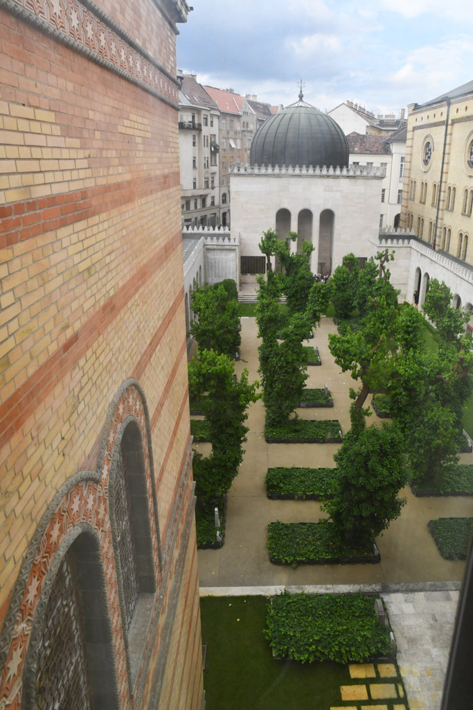 Blick in den Garten von einem Fenster aus