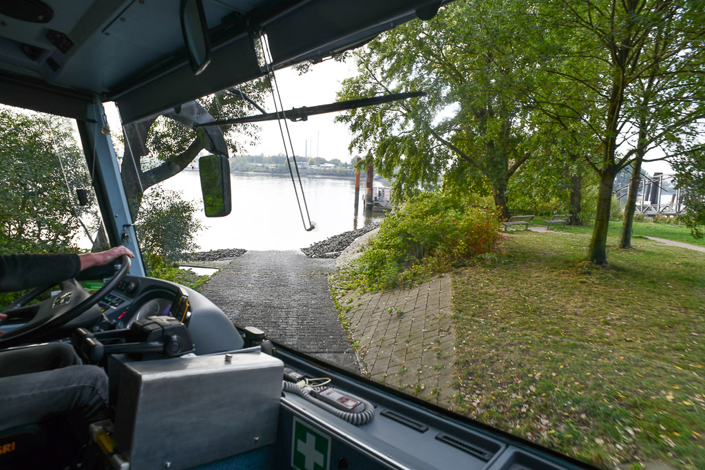 Blick durch die Frontscheibe auf eine Grünfläche