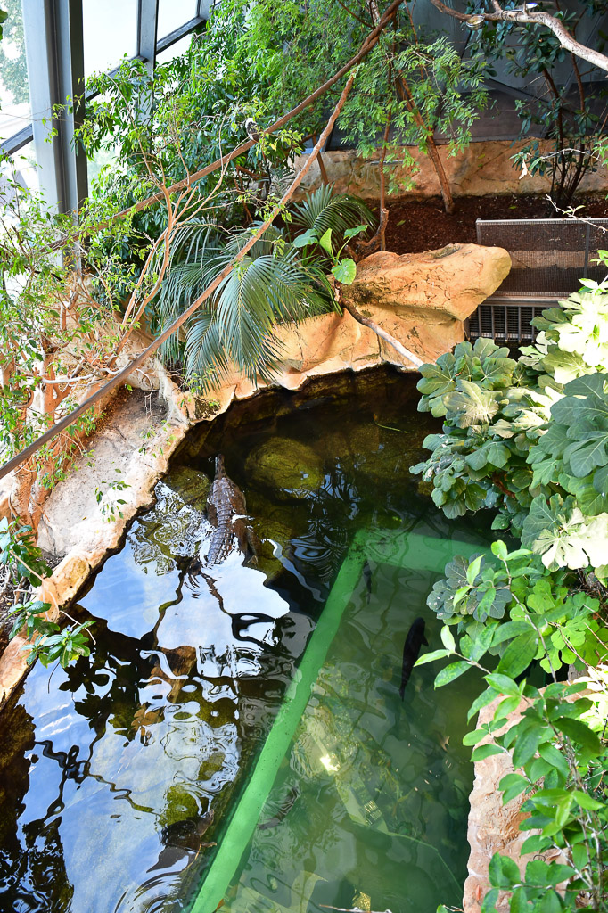 Terrarium mit Pflanzen im Hochformat