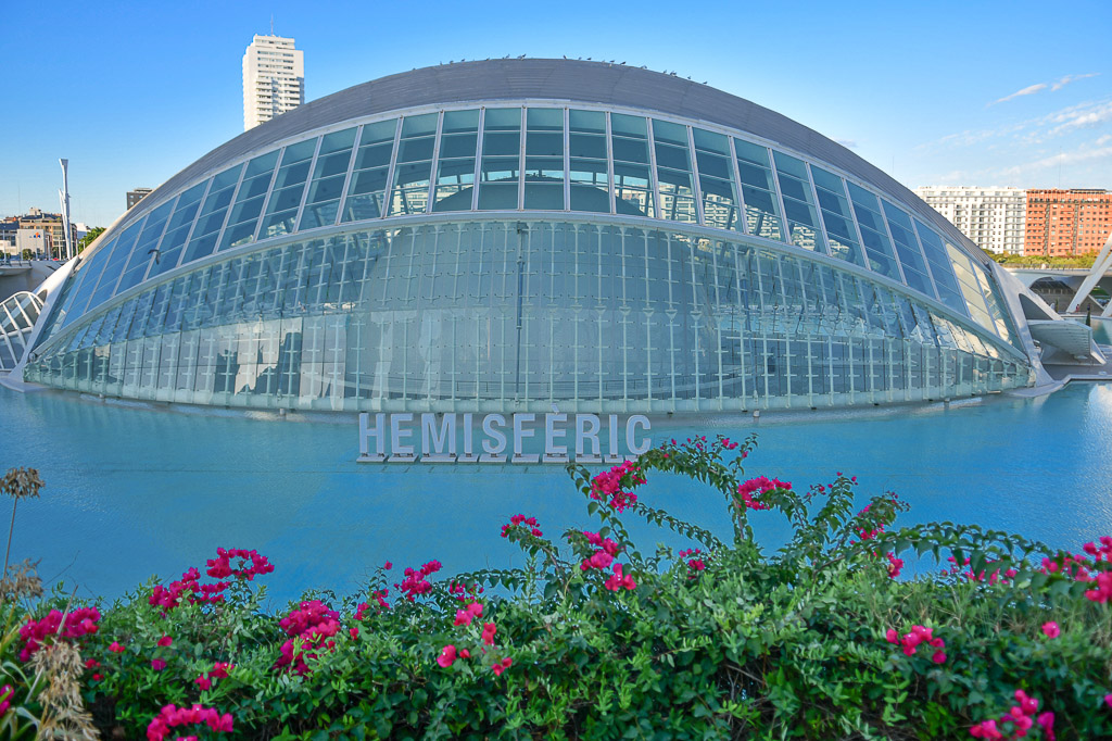 Hemisfèric mit Blumen im Vordergrund