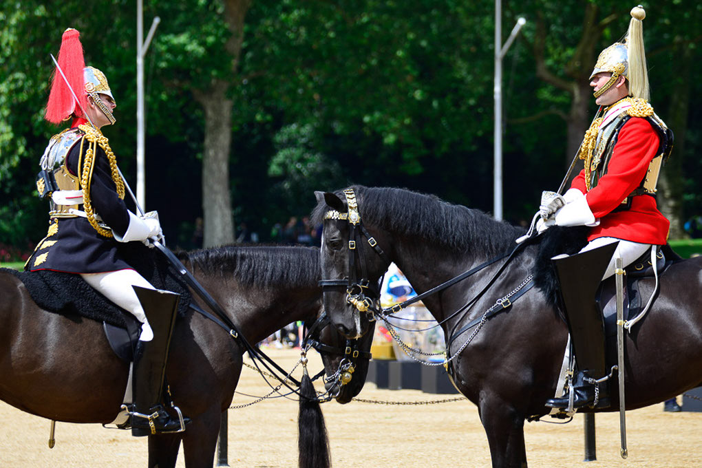 Pferde und Reiter beim Wachwechsel