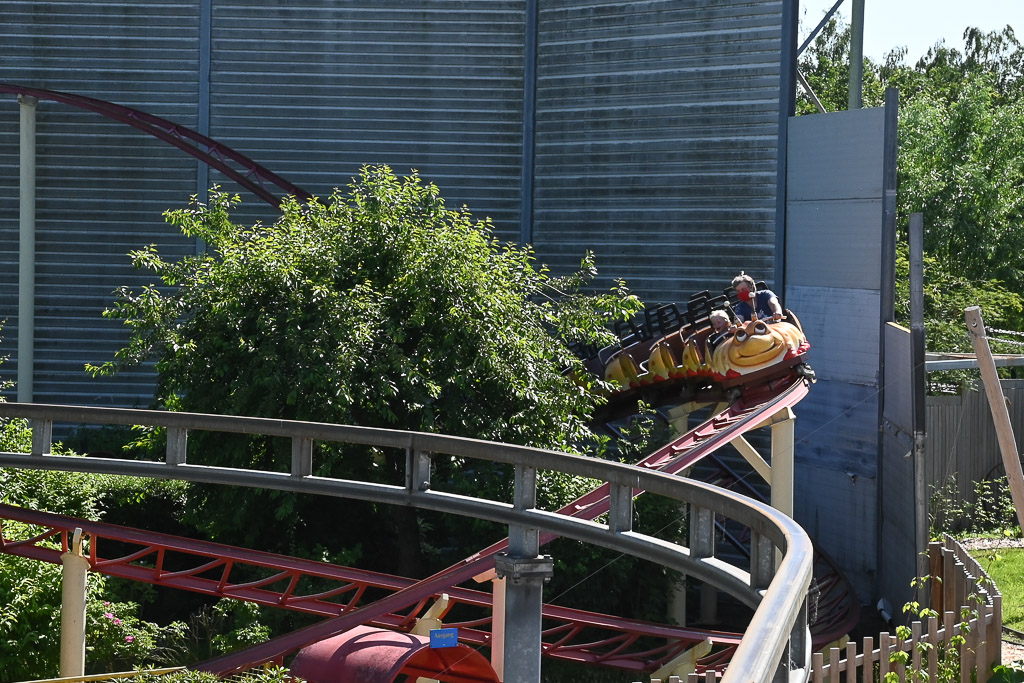 Holzwurm-Achterbahn