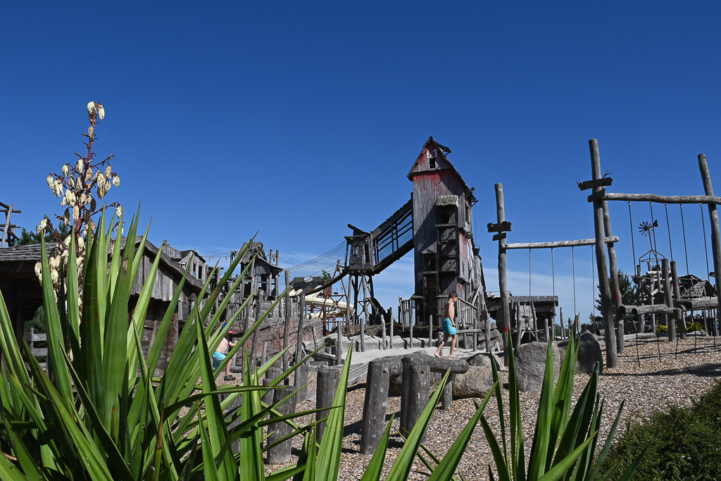 Grizzly Mountain