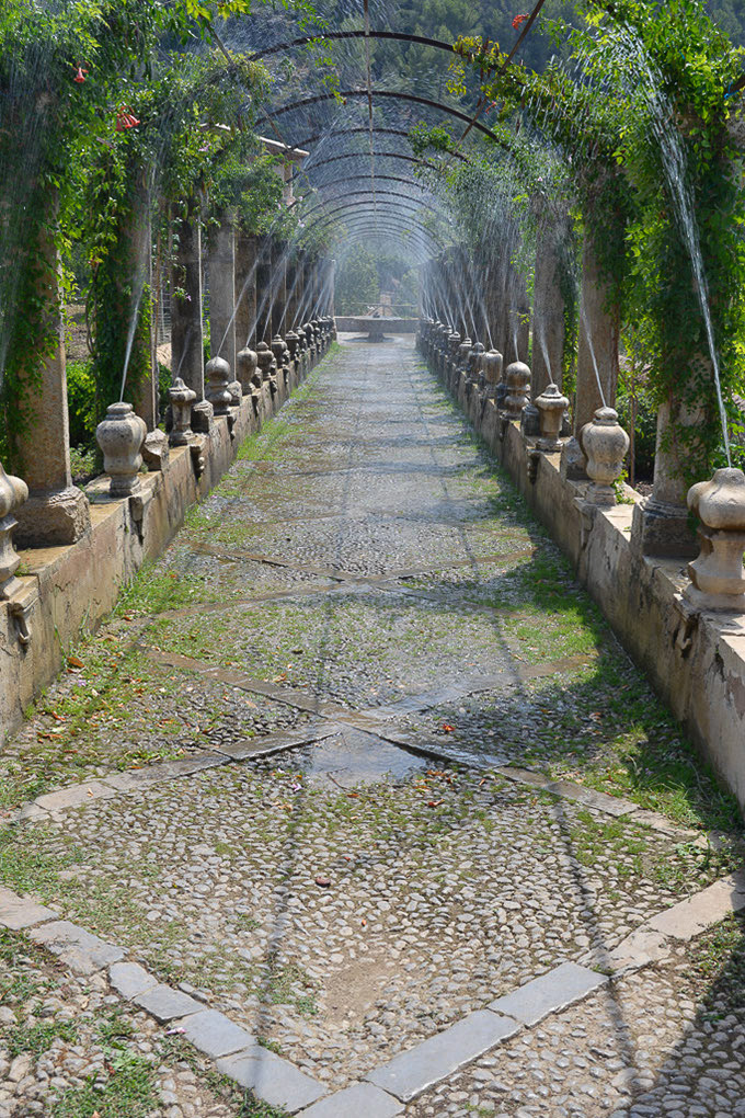 Laubengang mit Pergola und Steinweg im Hochformat