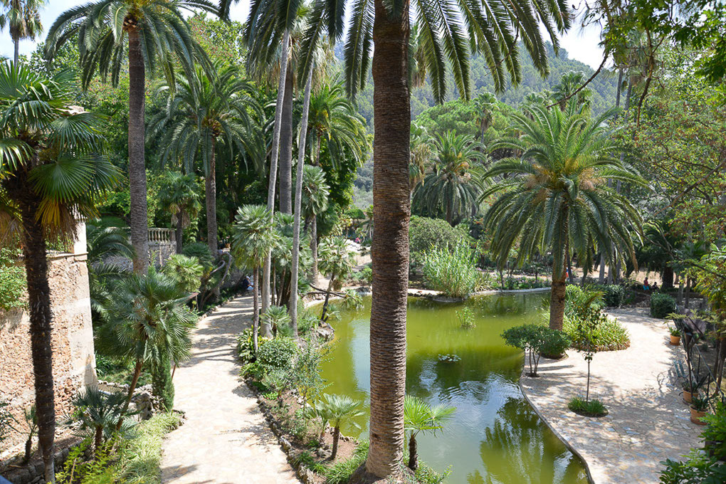 Garten mit Palmen und Teich