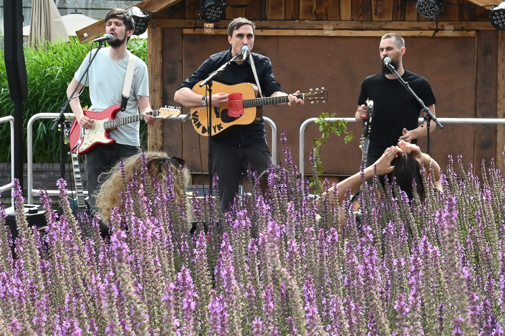 Band Deyk auf der Bühne zwischen Lavendel