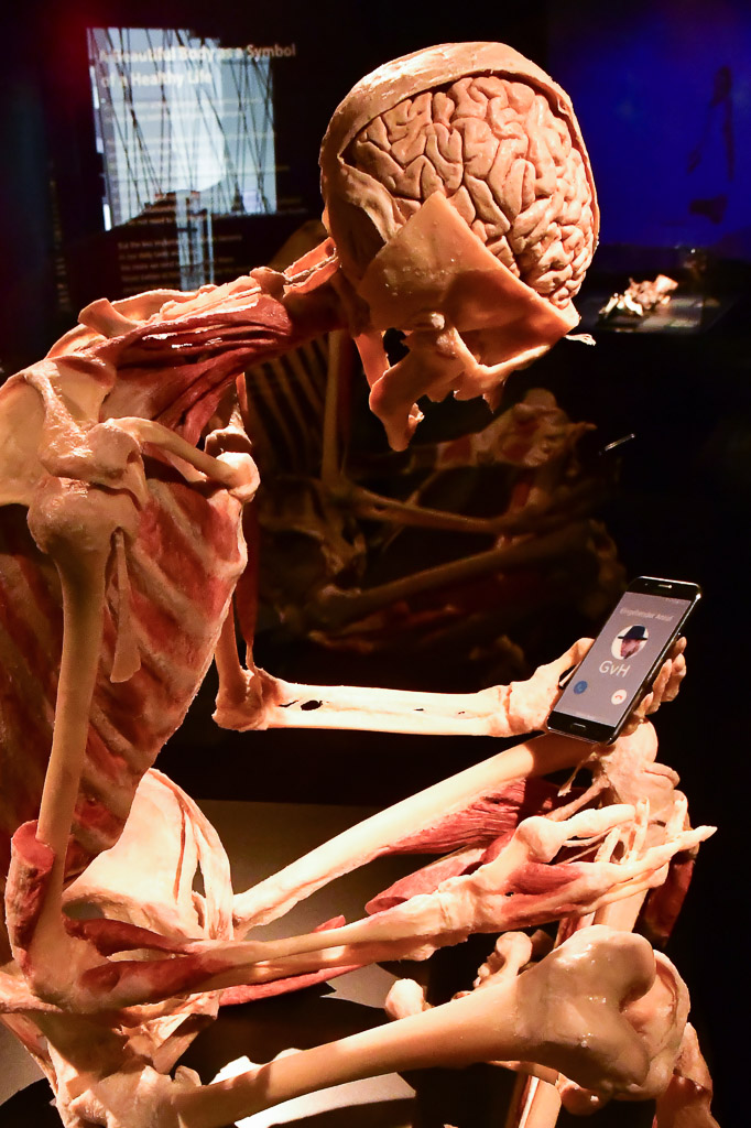 Ganzkörperplastinat mit Gerät in der Hand im Hochformat