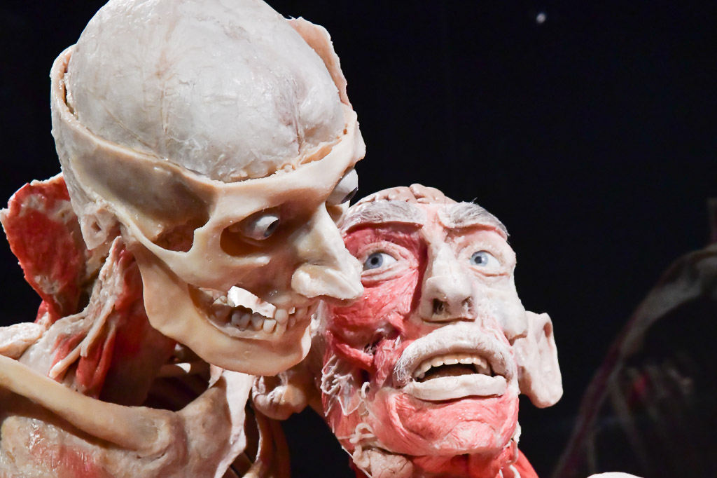 Zwei Plastinate in einer Szene im Querformat