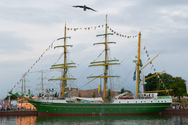 Alexander von Humboldt II