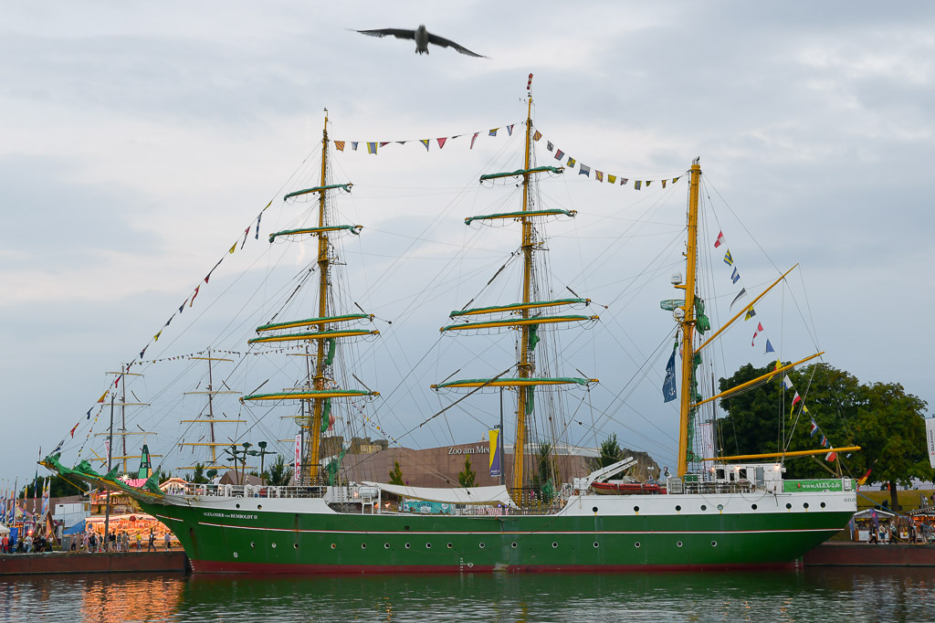 Alexander von Humboldt II
