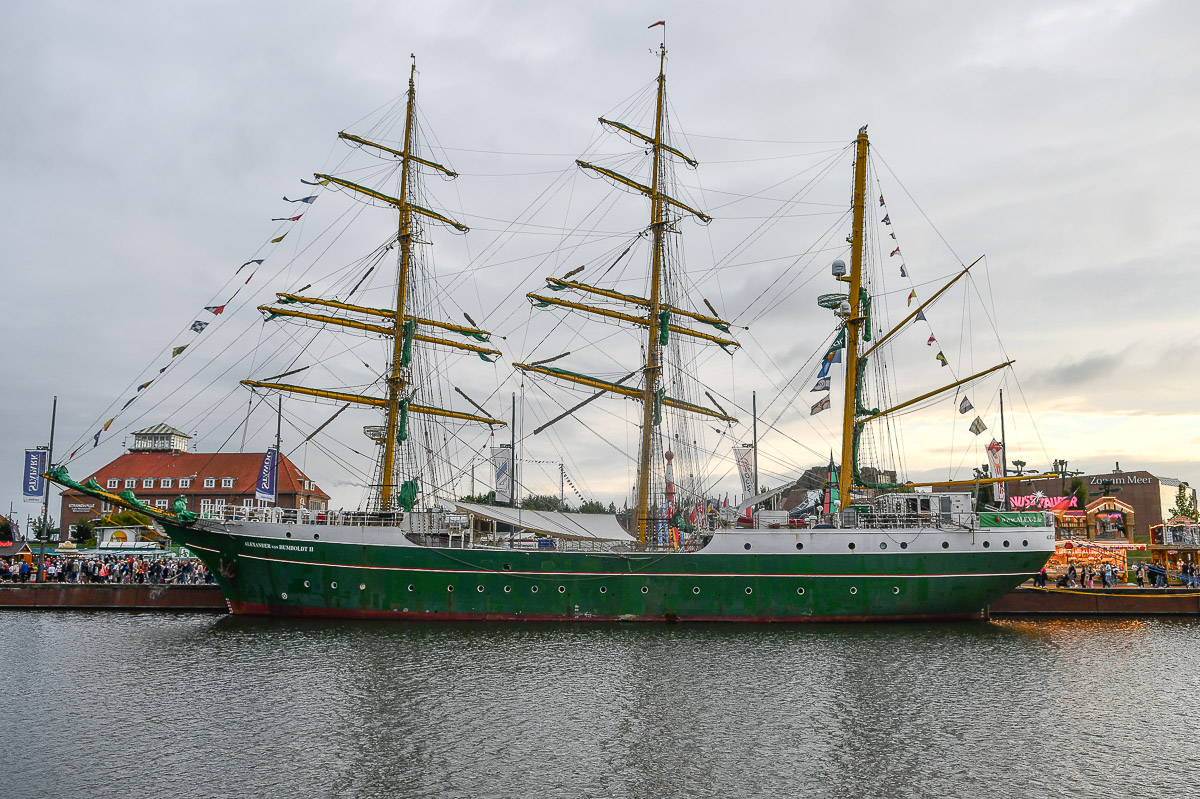 Grüner Großsegler