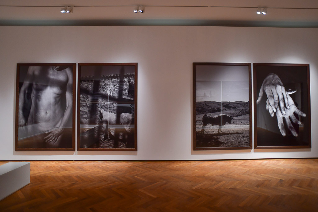Fotografien in der Lindbergh-Ausstellung