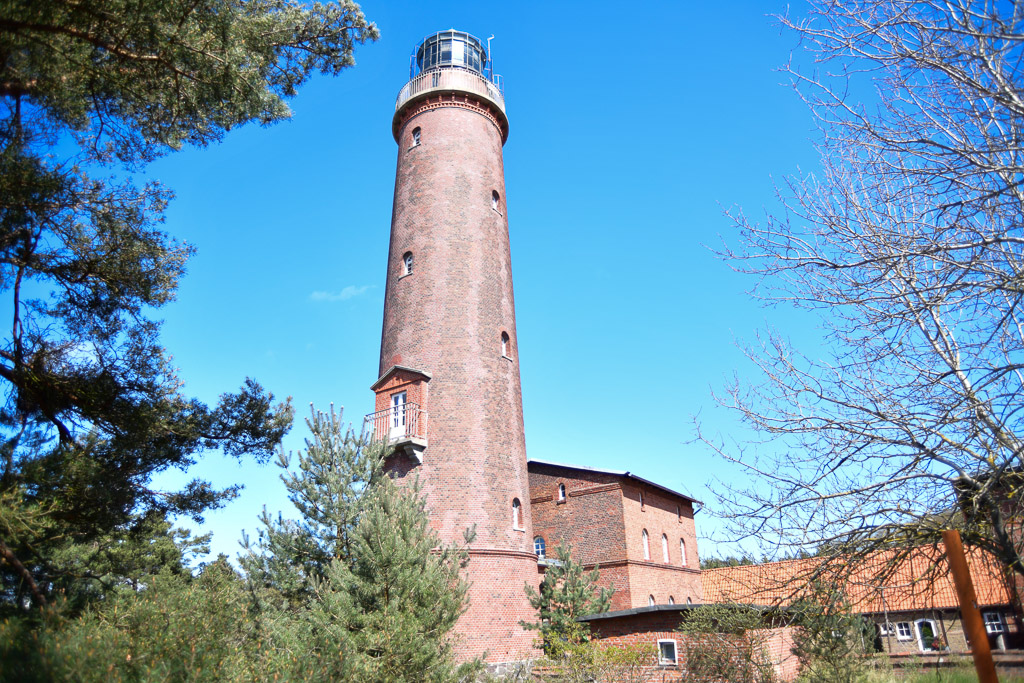 Leuchtturm zwischen Kiefern