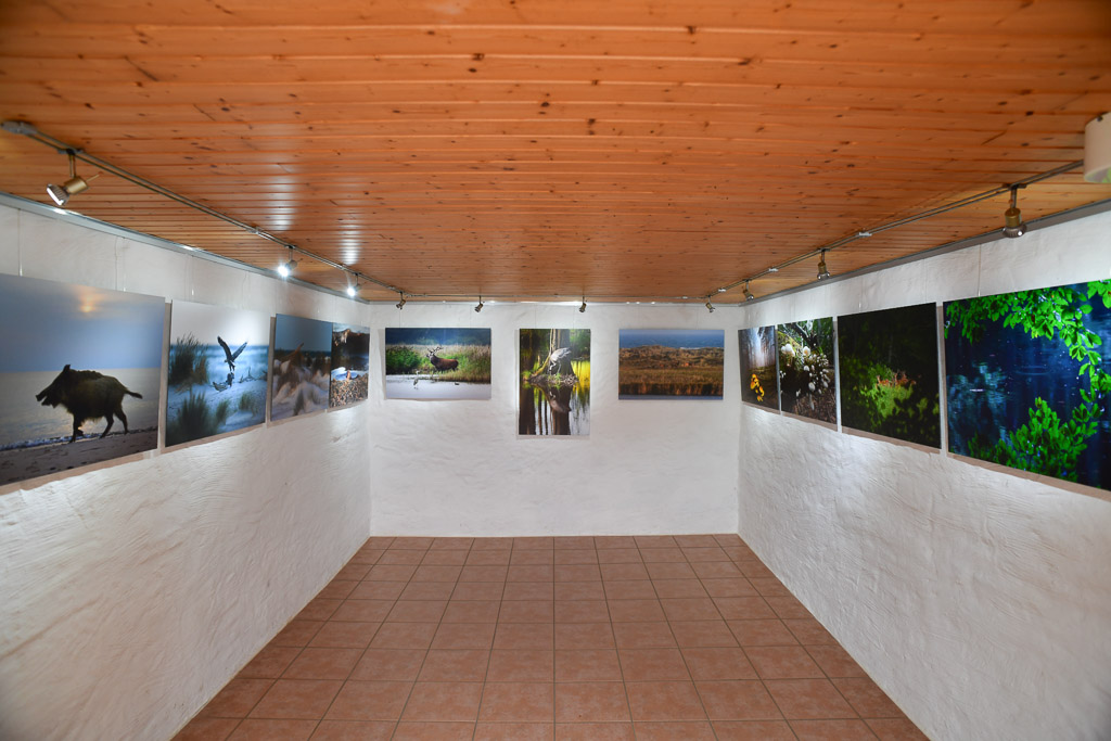 Ausstellungsraum im Wärterhaus