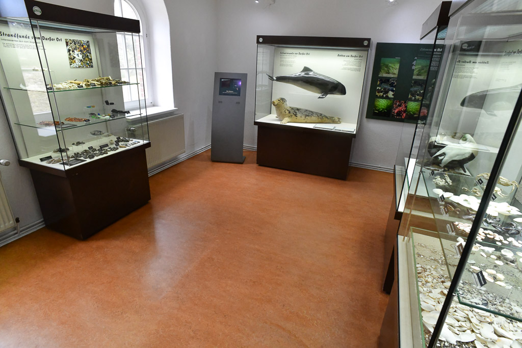 Ausstellungsraum mit Vitrinen
