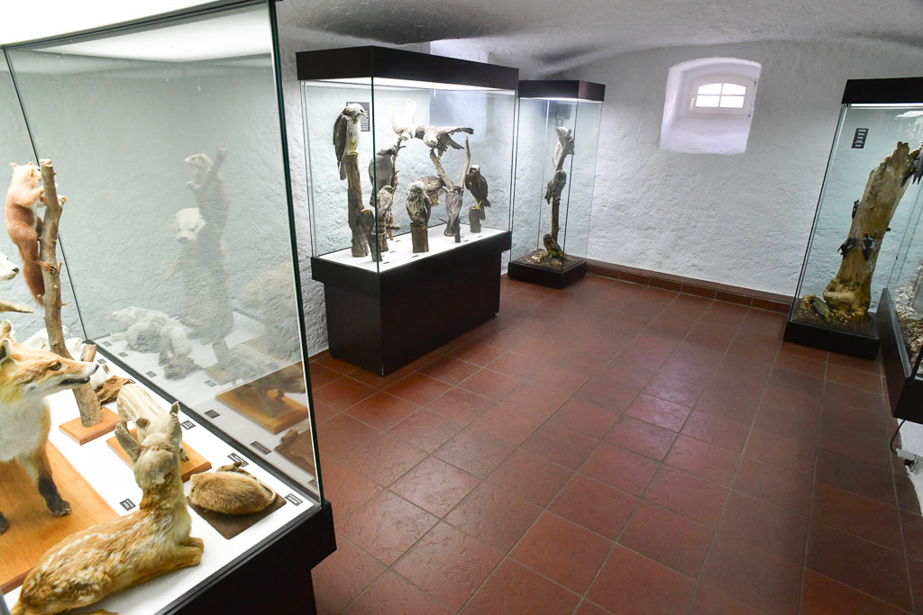 Vitrinen im Ausstellungsraum