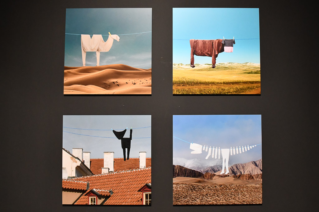 Fotografien an der Wand