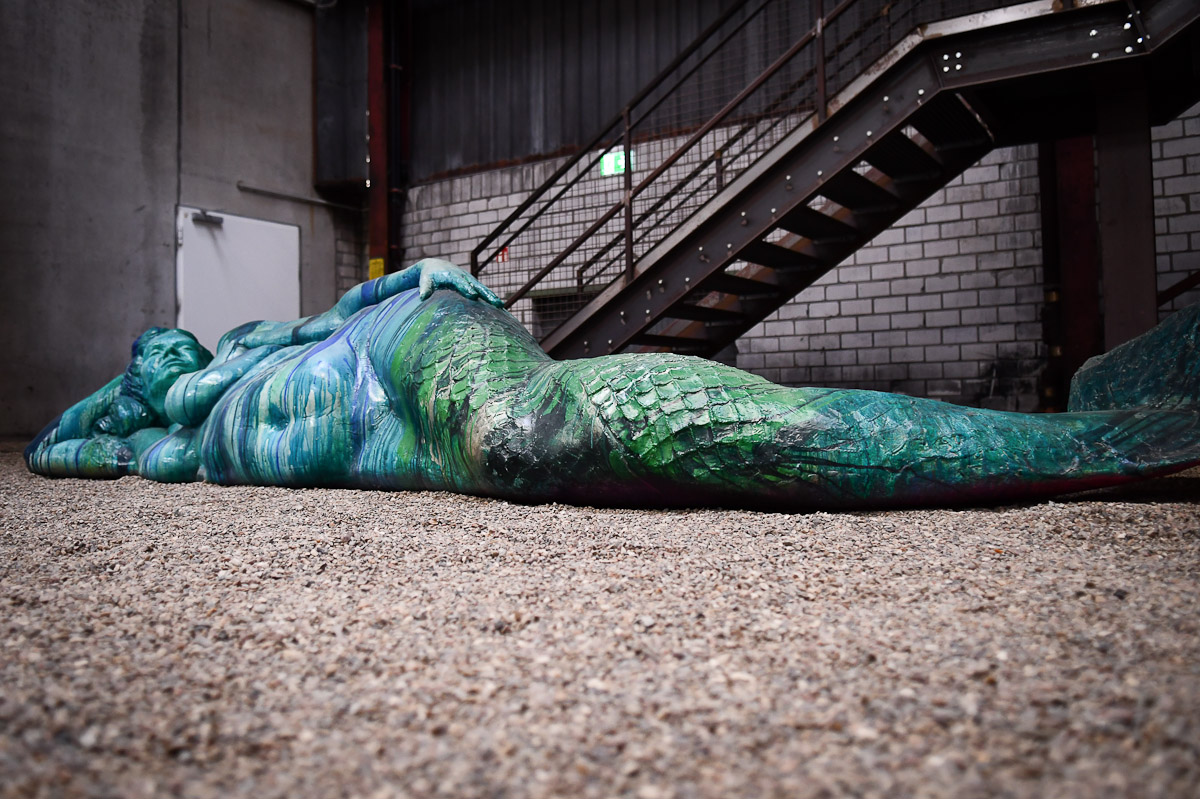 Installation in der Halle
